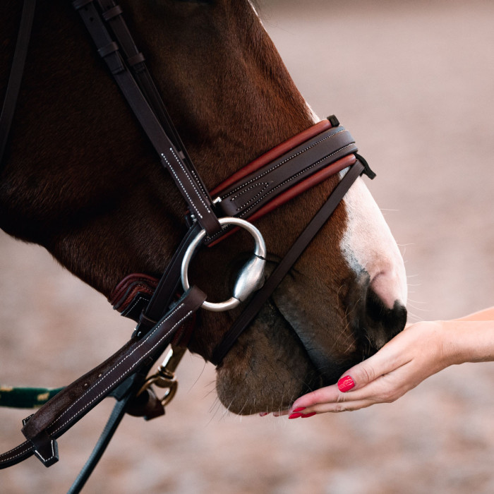 Biarritz noseband