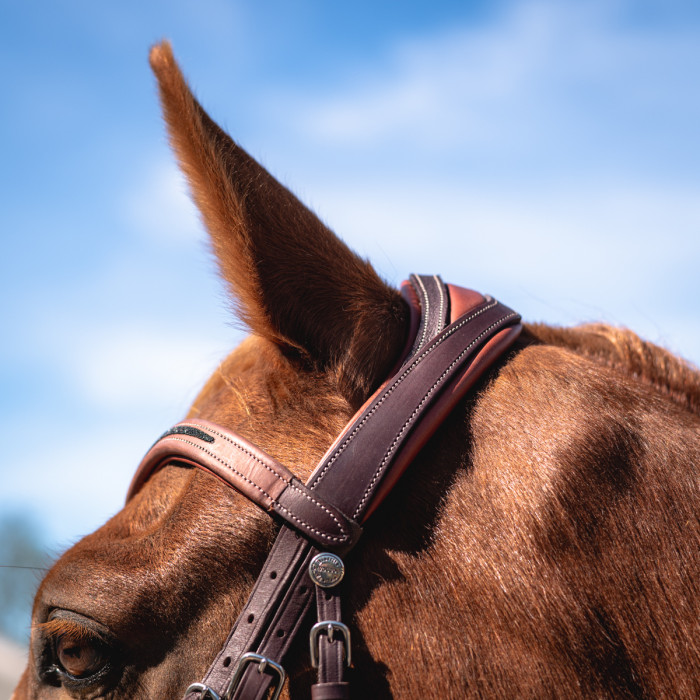 Têtière Ergonomique Large