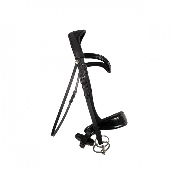 Glänzende Makila Trense