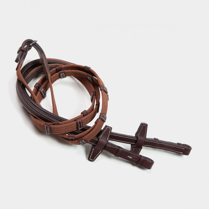 Web reins with loops