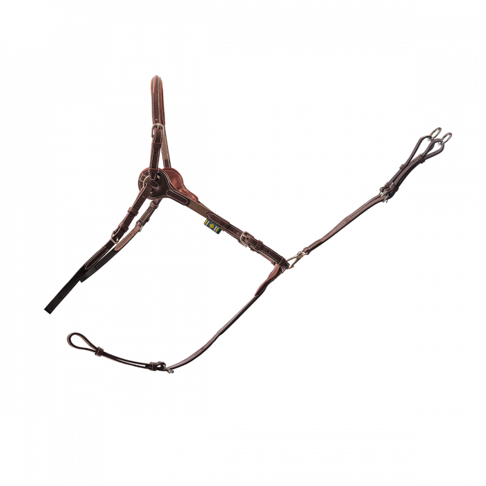 Collier de chasse 3 points