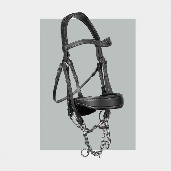 Harmonie full bridle - COLLECTORS