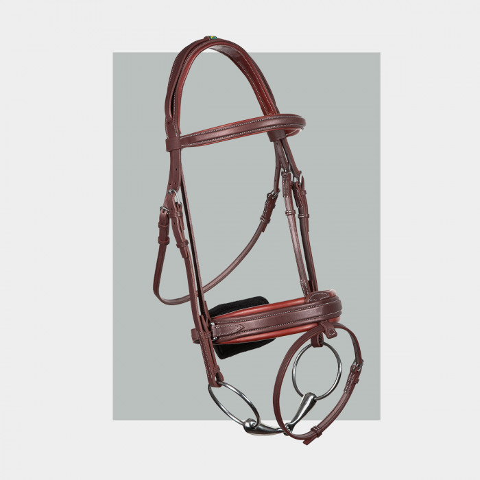 Biarritz bridle - COLLECTORS