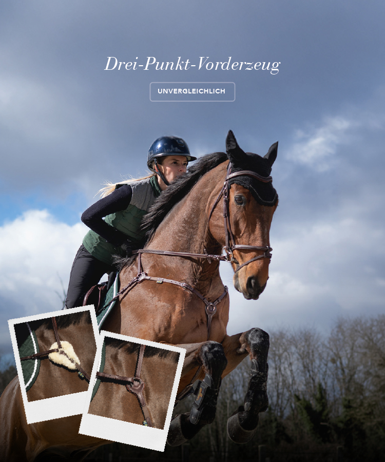 Accessoires Sellerie Devoucoux Neufs Pommettes De Dressage Anglais Devoucoux - Surpiqûres Noires Sur Beige - Taille Mixte ~9-1/8 Et 9-7/8 - Neuf Sans étiquettes Selle Equitation