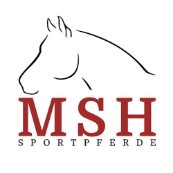 MSH Sportpferde