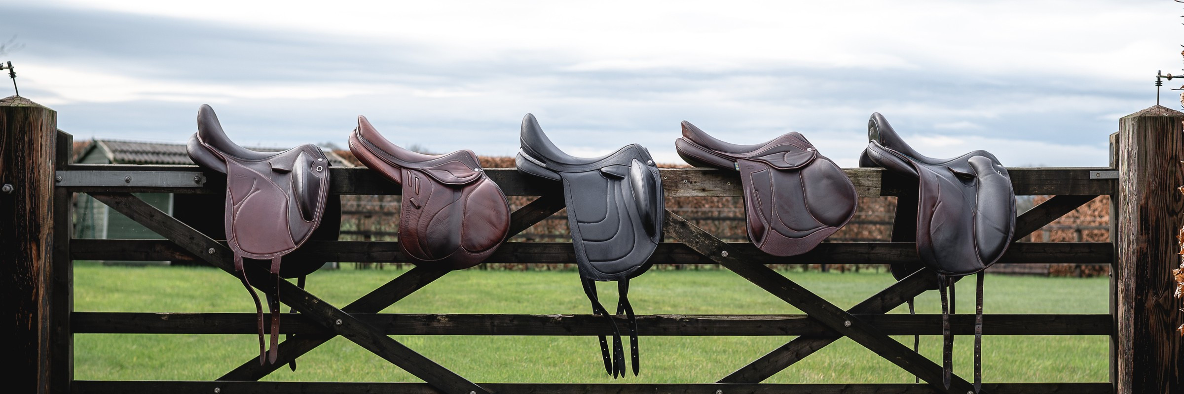 Used Saddles