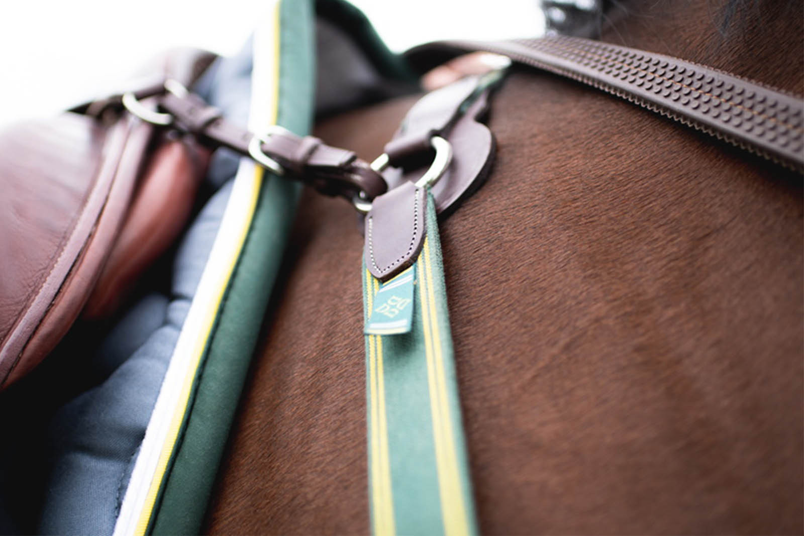Colliers de chasse & Martingales