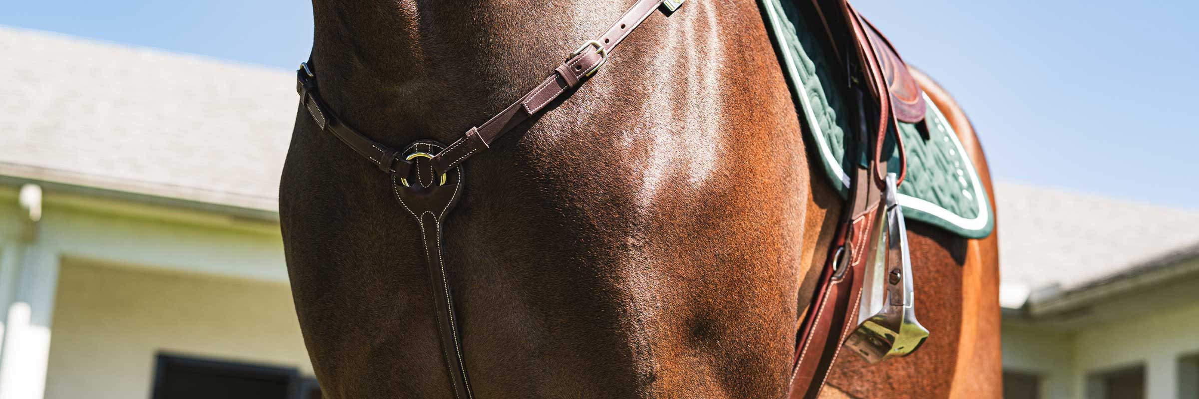 Vorderzeuge & Martingale