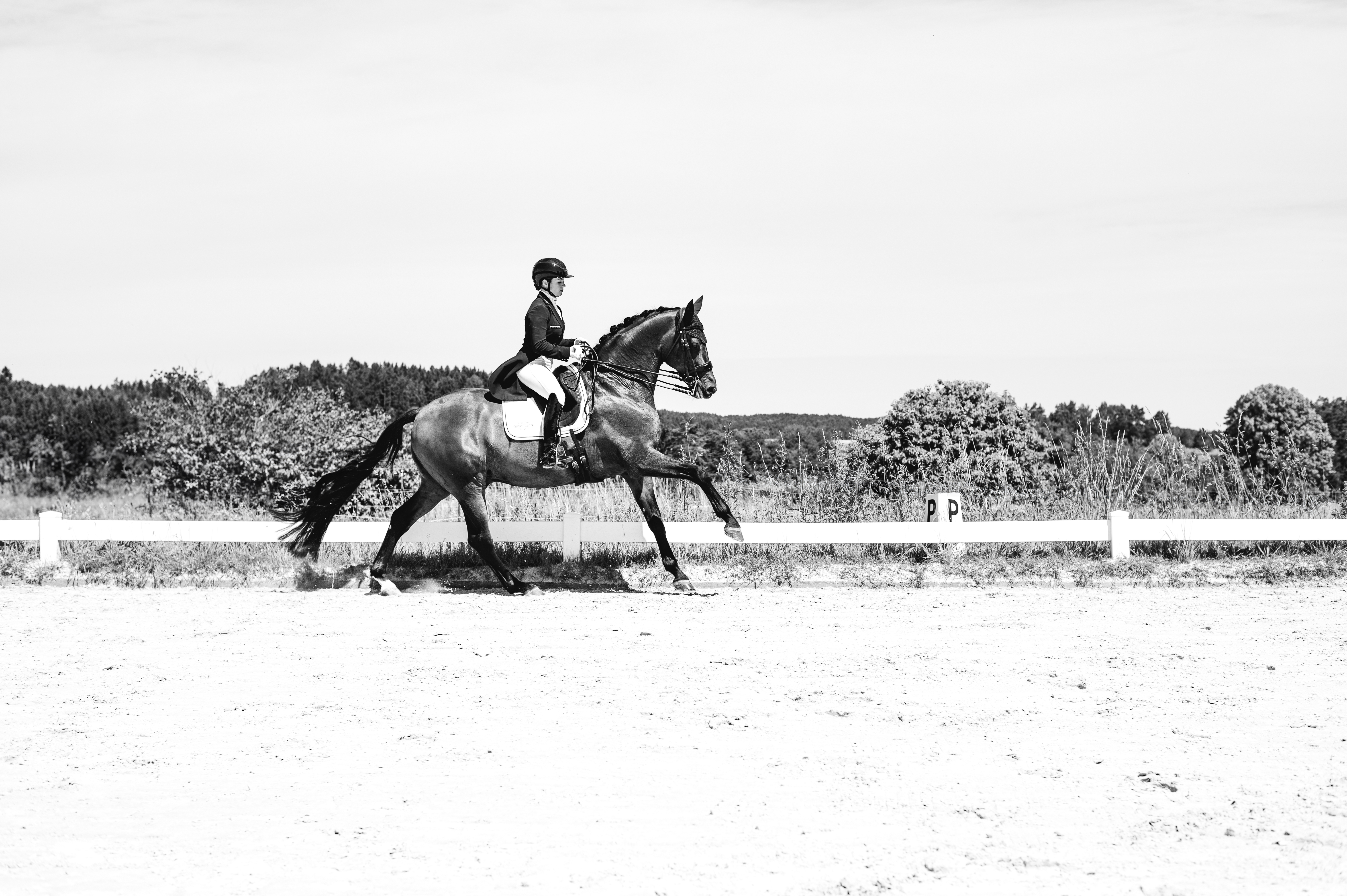 Entdecken Sie die Ausrüstung unserer deutschen Reiterin Jana Lang