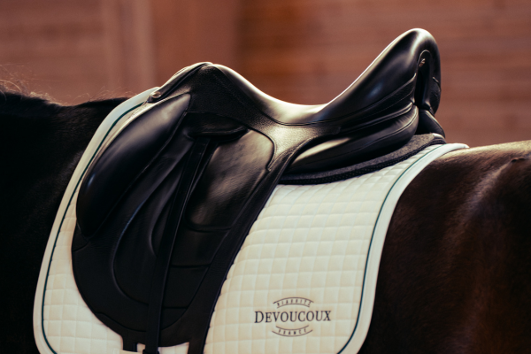 Que se cache-t-il derrière nos selles ?